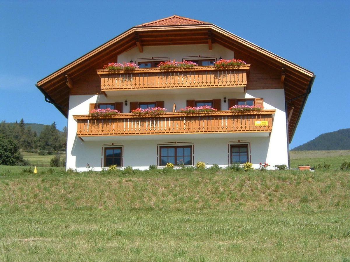 Stegerhof Apartment Monguelfo-Tesido / Welsberg-Taisten Екстериор снимка